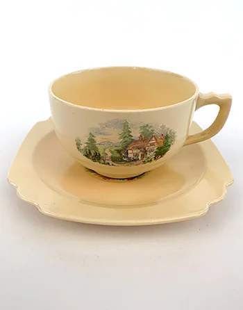Morning Side Homer Laughlin Decalware Teacup and Saucer Set